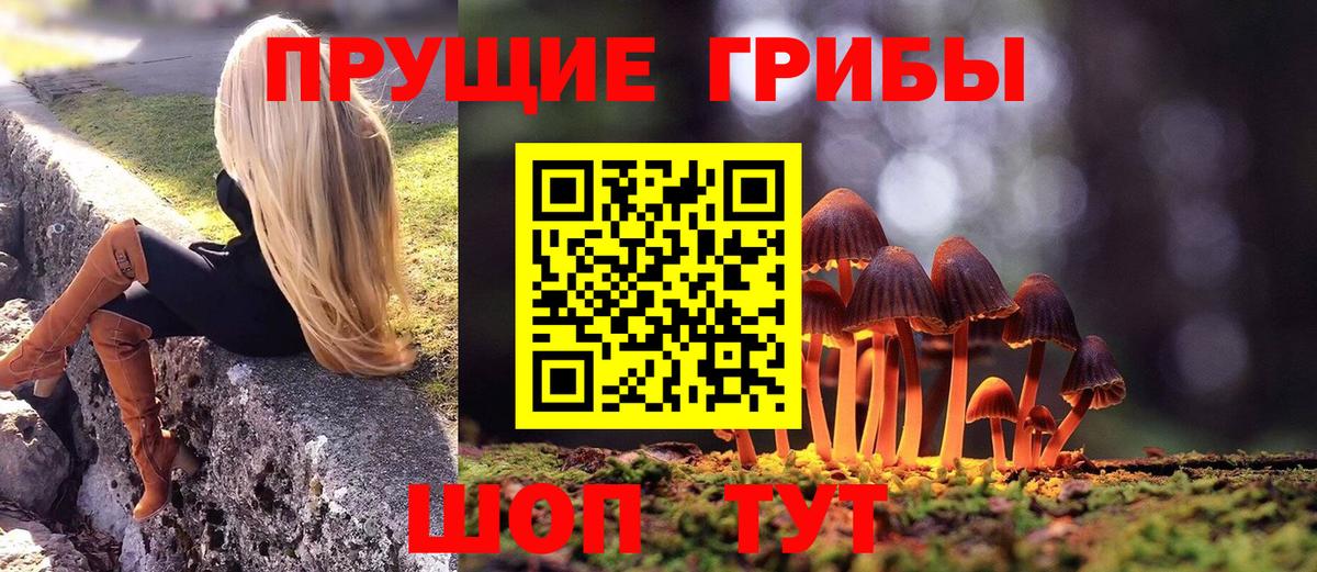 Елец  Галлюциногенные грибы ЛСД  Вход с VPN 