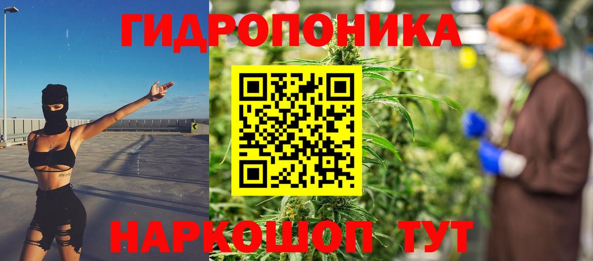 Каннабис семена  Марихуана ГИДРОПОН  Вход с VPN  Елец 